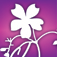 Audubon Wildflowers - A Field Guide to North American Wildflowers